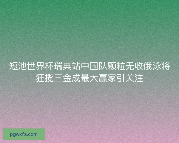 短池世界杯瑞典站中国队颗粒无收俄泳将狂揽三金成最大赢家引关注
