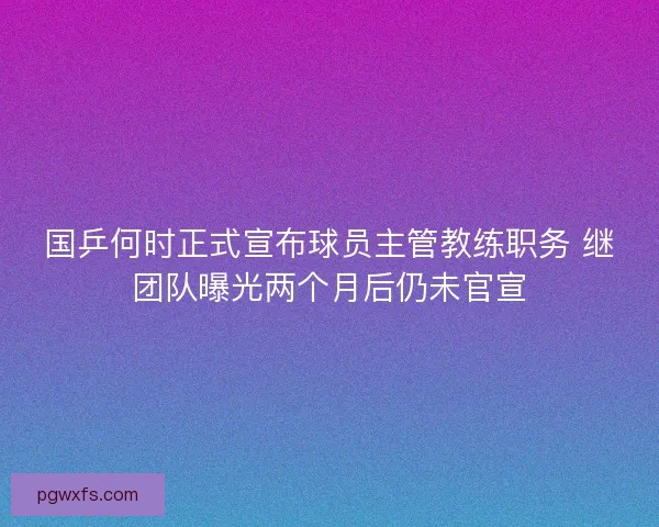 国乒何时正式宣布球员主管教练职务 继团队曝光两个月后仍未官宣