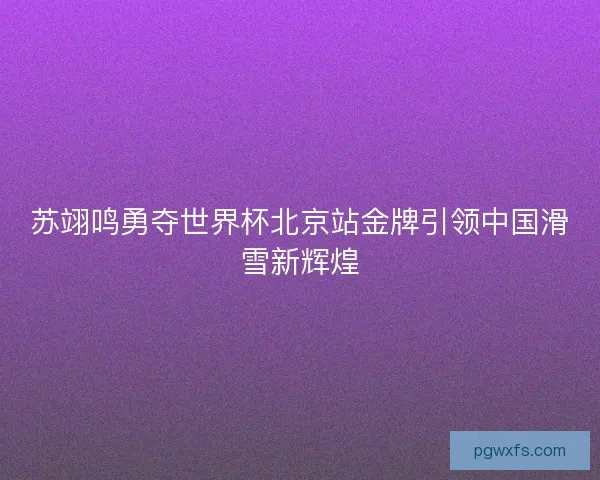 苏翊鸣勇夺世界杯北京站金牌引领中国滑雪新辉煌