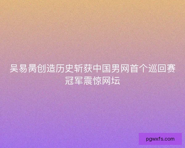 吴易昺创造历史斩获中国男网首个巡回赛冠军震惊网坛