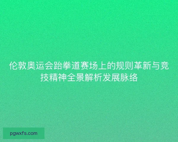 伦敦奥运会跆拳道赛场上的规则革新与竞技精神全景解析发展脉络