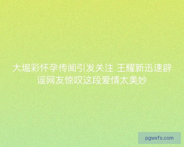 大堀彩怀孕传闻引发关注 王耀新迅速辟谣网友惊叹这段爱情太美妙