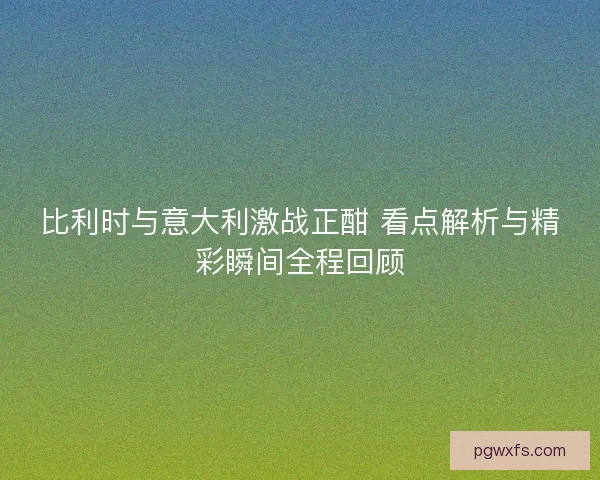 比利时与意大利激战正酣 看点解析与精彩瞬间全程回顾 比利时与意大利激战正酣 看点解析与精彩瞬间全程回顾
