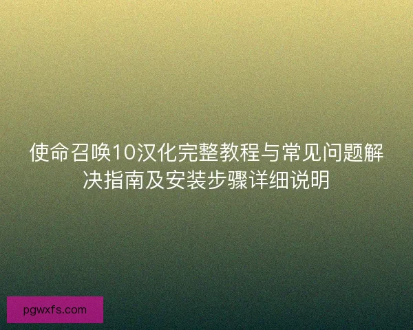 使命召唤10汉化完整教程与常见问题解决指南及安装步骤详细说明