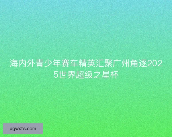 海内外青少年赛车精英汇聚广州角逐2025世界超级之星杯