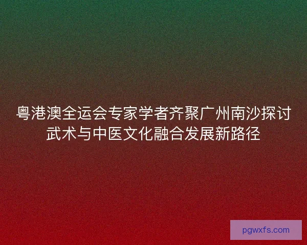粤港澳全运会专家学者齐聚广州南沙探讨武术与中医文化融合发展新路径